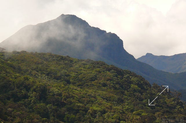 Highlands of the Talamanca Mountain Range